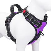 PHOEPET reflective harness front view shows easy on/off and visibility