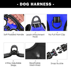 PHOEPET reflective material increases visibility for night safety.