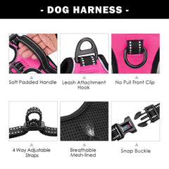 PHOEPET three-buckle system ensures secure closure and adjustable fit