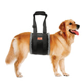 PICK FOR LIFE adjustable dog lift harness rear view showing hind leg support for large dogs