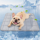 Pick For Life cooling blanket dog top view highlights cool-to-touch fabric for hot days.