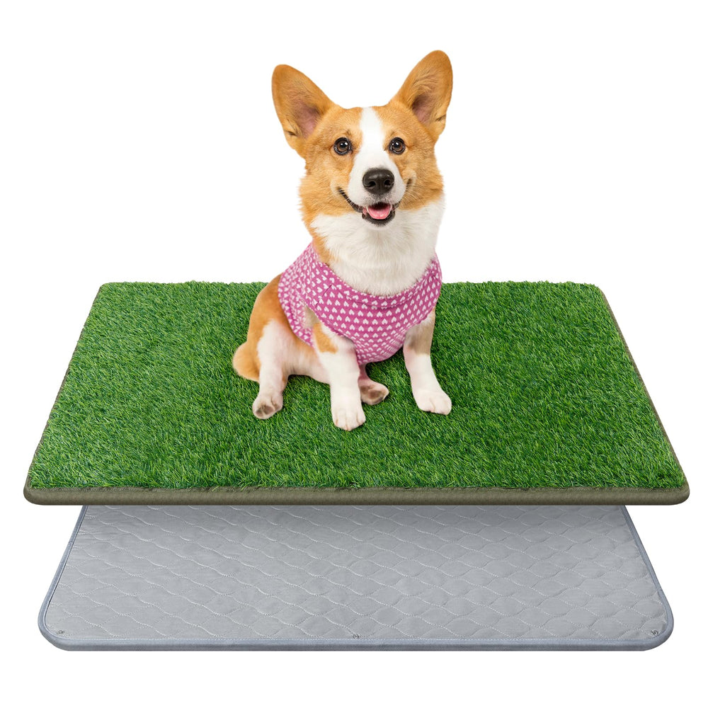 PICK FOR LIFE dog grass mat front view for potty training.
