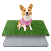 PICK FOR LIFE dog grass mat front view for potty training.
