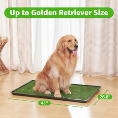 PICK FOR LIFE dog grass patch grass detail showing soft realistic turf for comfort.