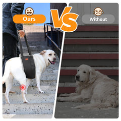 Pick For Life dog sling with padded handles aiding gentle recovery.