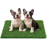 PICK FOR LIFE grass pad for dogs potty indoor training surface