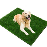 PICK FOR LIFE grass pad for dogs—large turf area for potty training indoors.