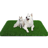 PICK FOR LIFE Grass Pad for Dogs overview, large size for potty training.