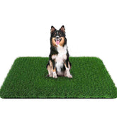 PICK FOR LIFE Grass Pad for Dogs: large potty area for indoor use and quick cleanup.
