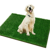 Pick For Life Grass Pad for Dogs shows a spacious indoor area ideal for potty training.