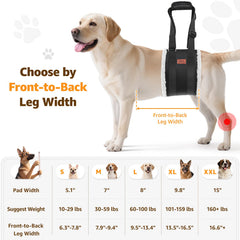 Pick For Life soft fleece lining keeps your dog comfortable during wear.