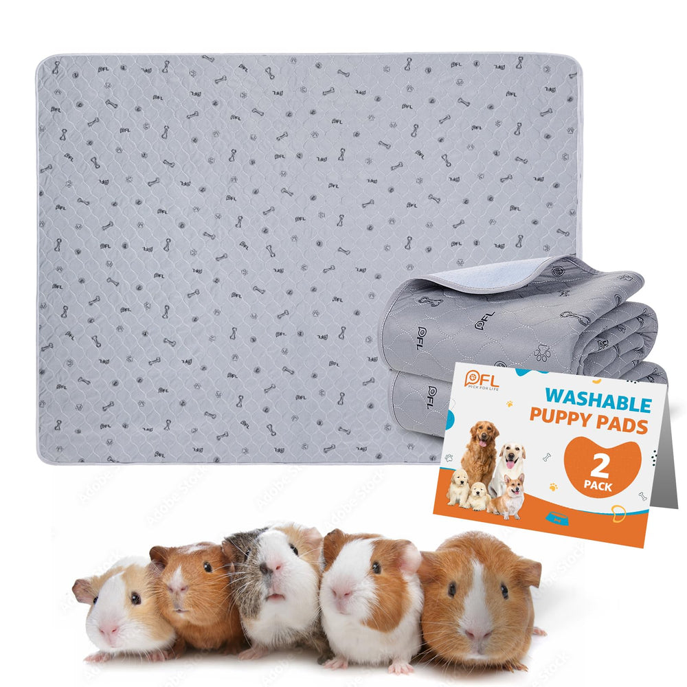 PICK FOR LIFE washable pee pad 2-pack keeping floors dry and pets comfy