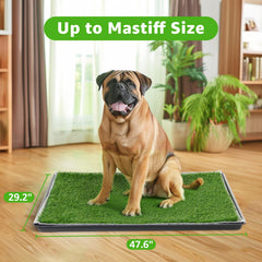 PICK FOR LIFE washable puppy pads showcase reusable, cost-saving option