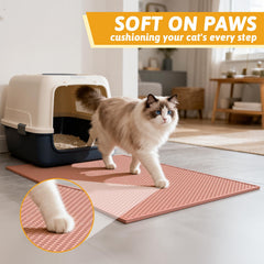 Soft EVA material is easy to clean and gentle on paws