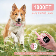 Pikabiu fast charging battery system for the collar and remote.