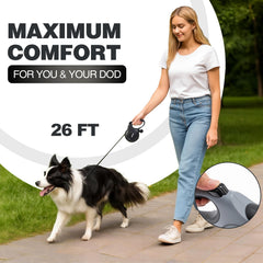 Pina leash with reflective nylon tape for visibility during twilight walks