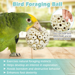 PINVNBY bird-active-play sola ball; encourages beak shaping and activity.