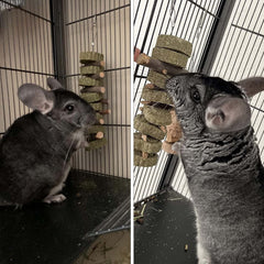 PINVNBY bunny chew toys include alfalfa grass cakes for varied texture and dental exercise.