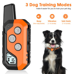 PIOUNS collar in Vibration mode delivering gentle cues.