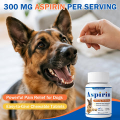 PKperekond arthritis relief for dogs tablets on a table.