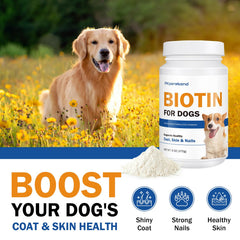 PKperekond Biotin for Dogs skin health supports hydrated, comfortable skin.
