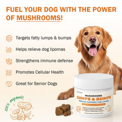 PKperekond cordyceps mushroom chews bottle highlighting vitality for pets