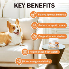 PKperekond L-Carnitine for dogs energy: helps maintain activity and vitality