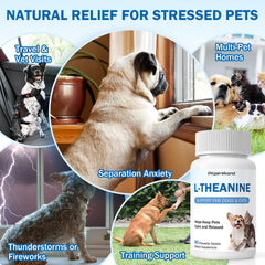 PKperekond L-Theanine for dogs in a calm, relaxed pose.