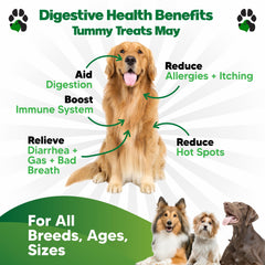 Planopaws dog probiotic chews in chicken flavor, easy daily treat