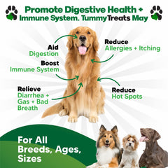 Planopaws dog probiotics bottle shows digestive enzymes supporting balanced gut health