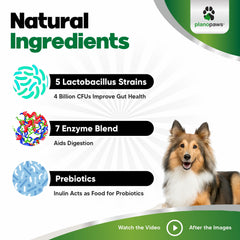 Planopaws USA-made label highlights quality and safety