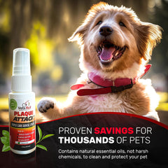 Plaque Attack Pet Dental Spray used on a cat for oral freshness