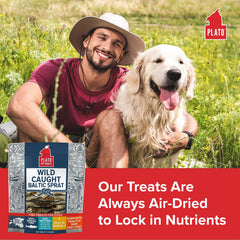 Plato single-ingredient fish treats emphasizing simple snacking.