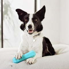 Playology Floating Dog Toy glides on water for splashy pool or lake play