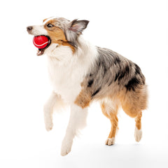 Playology Floating Squeaky Ball ideal for water fetch in pools, ponds, or lakes.
