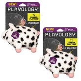 Playology plush pig 2-pack ready for cuddles and squeaky play.