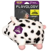 Playology Plush Pig front view: cozy toy for dogs' snuggle and squeak play.