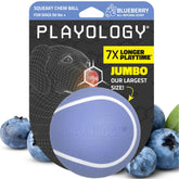 Playology Squeaky Chew Ball in large blueberry color for water fetch and scent appeal