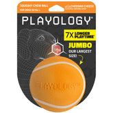Playology squeaky chew ball for large dogs—durable indoor-outdoor play.