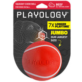 Playology Squeaky Chew Ball for large dogs with a loud squeak that keeps dogs engaged longer.