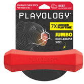 Playology squeaky chew stick for large dogs during lively playtime.