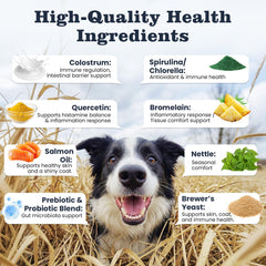 PLBKCTS ingredients scene highlights salmon oil and probiotics for gut support.