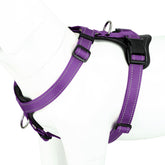 Plutus Pet adjustable no-pull harness front clip supports training with flexible control.