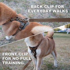 PLUTUS PET harness with leather accents blends durability for outdoor adventures