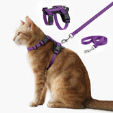Plutus Pet harness quick-release buckle for easy on and off.