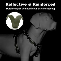 Plutus Pet reflective stitching for high visibility during low-light walks