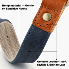 Plutus Pet heavy-duty buckle on collar for secure daily walks