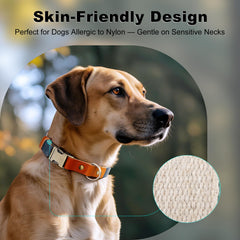 Plutus Pet heavy-duty hardware designed for active dogs