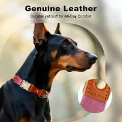 Plutus Pet heavy-duty hardware on pink dog collar ready for adventures