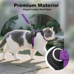 Plutus Pet leash with D-ring attachment for confident outdoor walks.